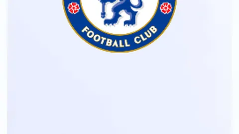 法國國家隊歐洲杯歷年戰績概覽